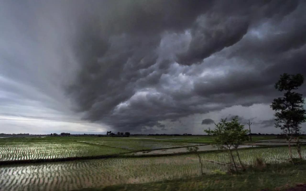 Weather Forecast: बिपरजॉय का मानसून पर नहीं पड़ेगा असर, दक्षिणी और पूर्वी हिस्सों में बढ़ने को तैयार