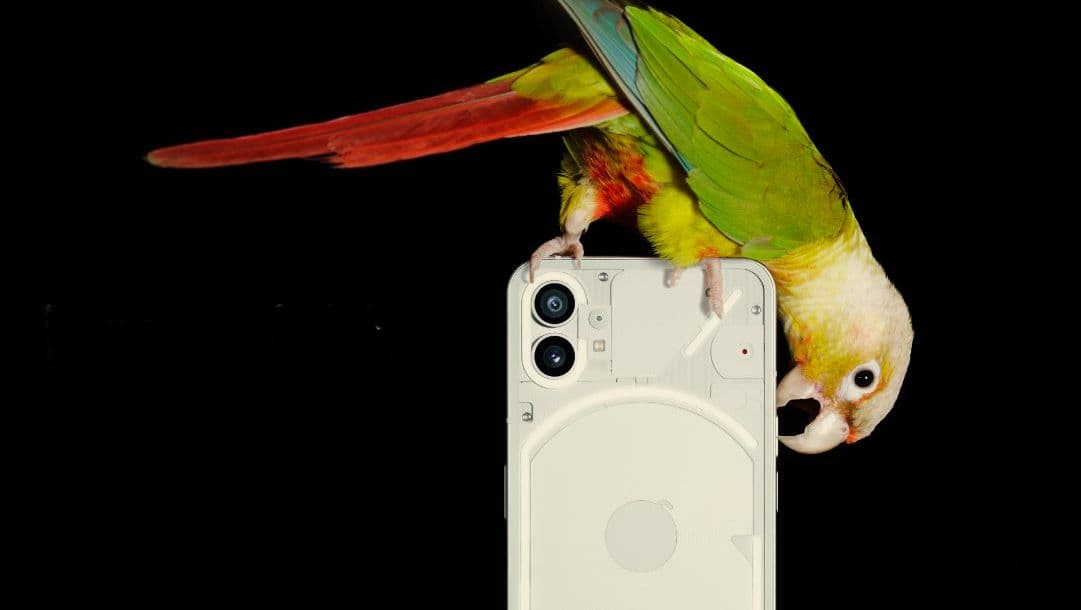 जुलाई का महीना स्मार्टफोन लवर्स के लिए होगा काफी खास, लॉन्च होने वाले हैं Nothing और OnePlus के नए फोन्स