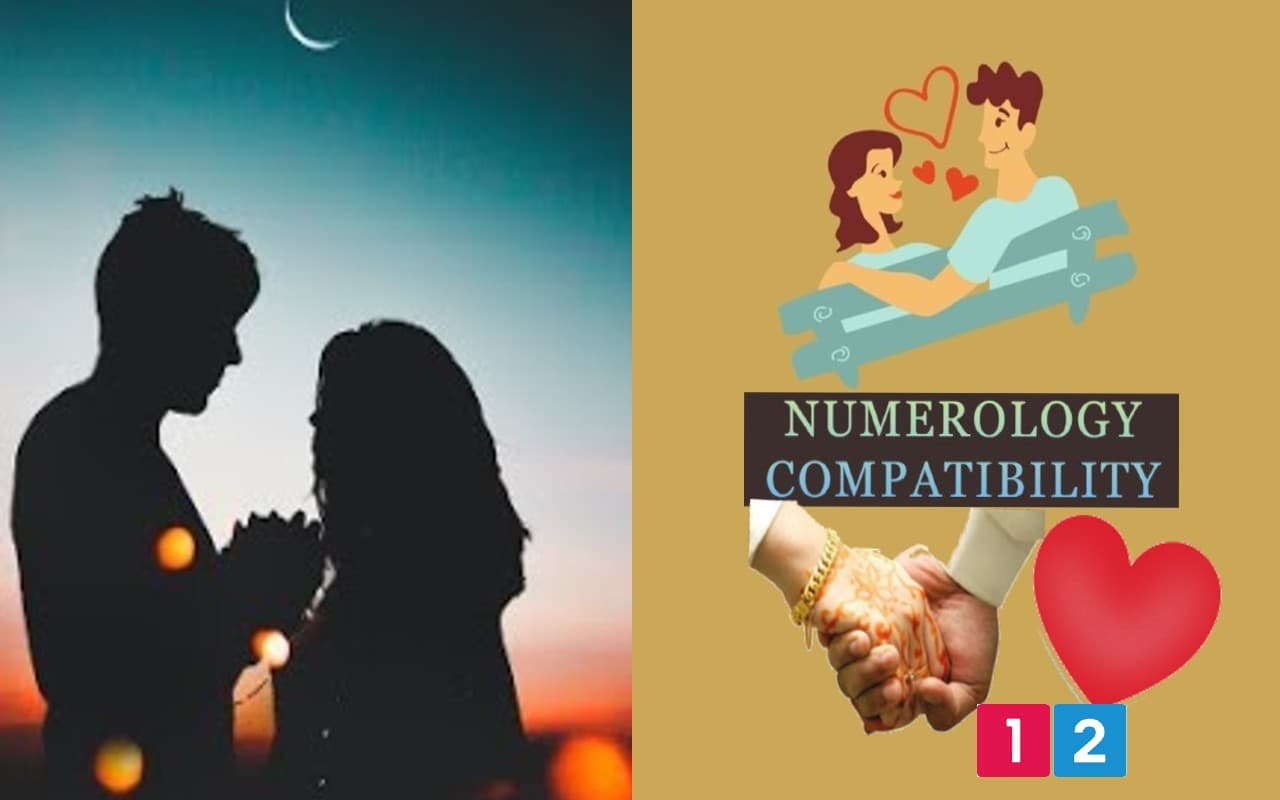 Numerology: मूलांक 1 और 2 वालों की होती है ऐसी बॉन्डिंग, अपने पार्टनर को हमेशा . . .