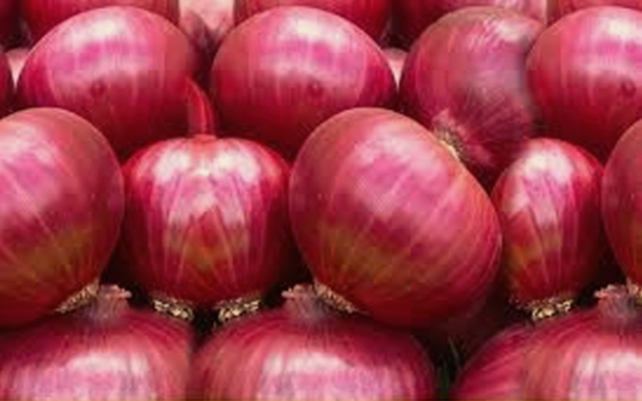 Onion Crisis: सोने के भाव बिक रहा प्याज, क्यों लगातार बढ़ रही कीमत ? जानें विस्तार से