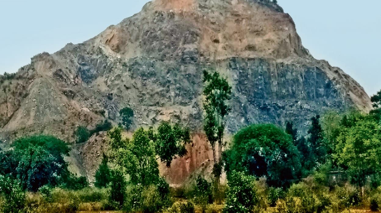 Jharkhand News: धनबाद में पहाड़ों का सीना छलनी कर रहे अवैध क्रशर, आम जनजीवन पर पड़ा रहा है बुरा प्रभाव Jharkhand News: धनबाद में पहाड़ों का सीना छलनी कर रहे अवैध क्रशर, आम जनजीवन पर पड़ा रहा है बुरा प्रभाव