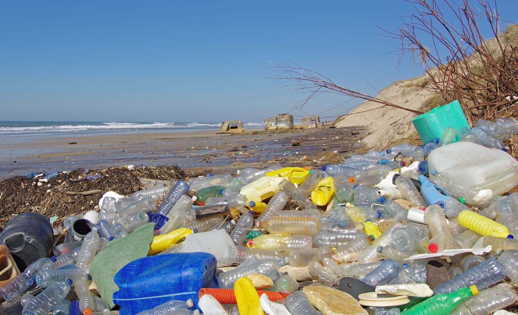 Environment: विश्व पर्यावरण दिवस के लिए 'एक राष्ट्र, एक मिशन: प्लास्टिक प्रदूषण समाप्त करें' अभियान का हुआ आगाज