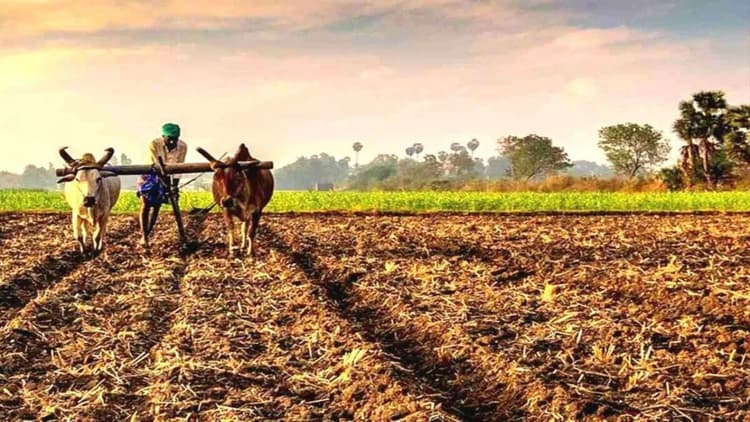 Budget 2024 For Kisan: बजट में किसानों के लिए है क्‍या खास, पीएम किसान की रकम बढ़ी या नहीं, यहां जानें हर बात