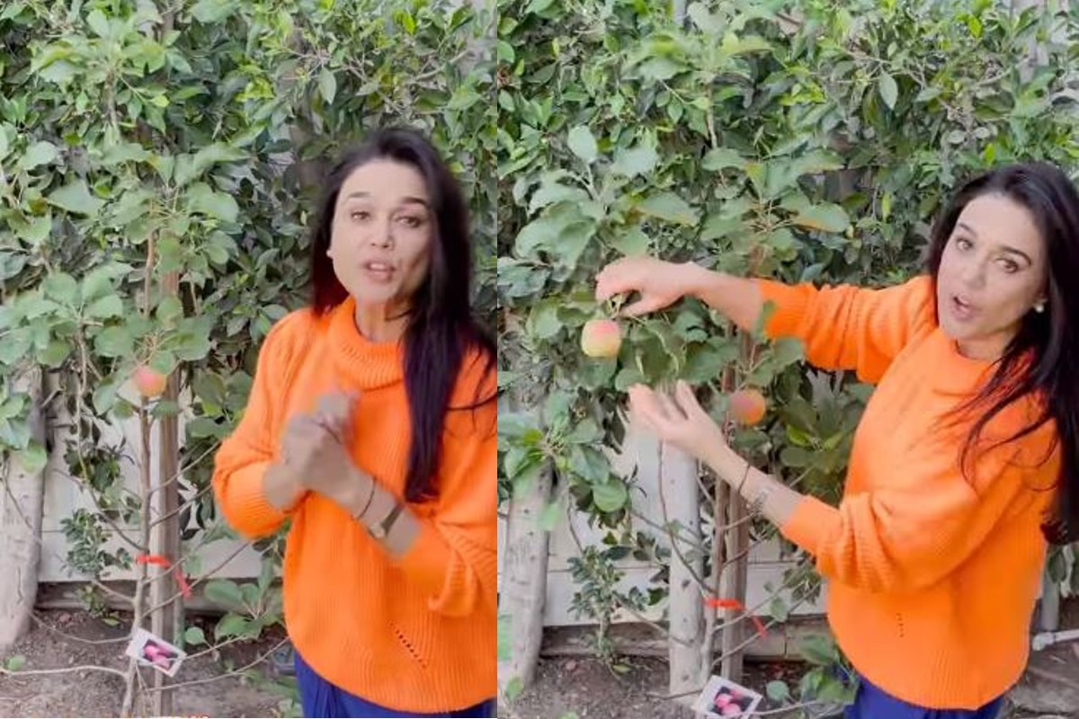 प्रीति जिंटा ने लॉस एंजिलिस वाले घर में उगाये हिमाचली सेब, कहा- सब्र का फल मीठा होता… VIDEO