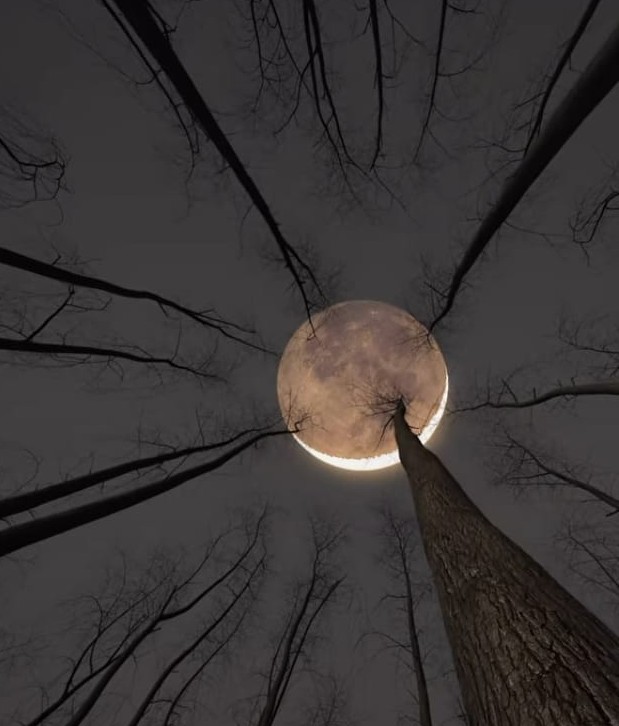 Chaitra Purnima 2023: चैत्र पूर्णिमा आज, यहां जानिए शुभ मुहूर्त और महत्व