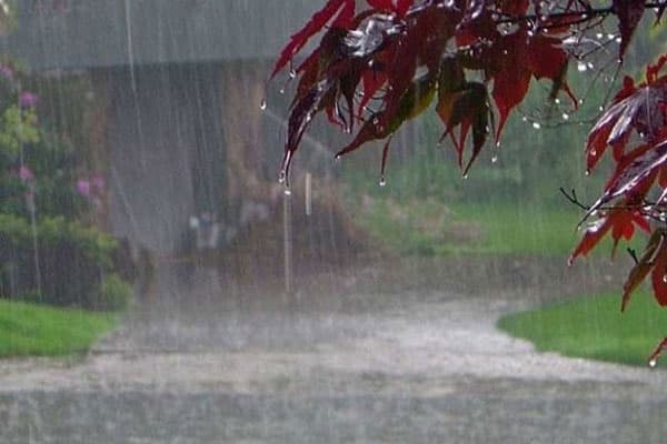 Weather Update : झारखंड- बिहार समेत देश के कई हिस्सों में तेज बारिश के आसार