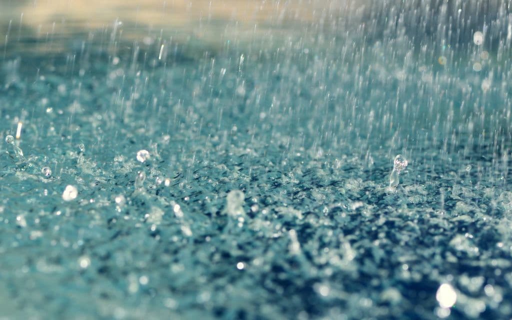 Weather Alert : केरल के कई हिस्सों में भारी बारिश, मानूसन की दस्तक, तिरुवनंतपुरम समेत चार जिलों में ऑरेंज अलर्ट जारी
