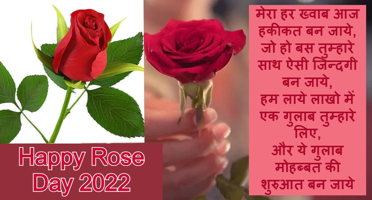 Happy Rose Day 2022 Wishes: ये गुलाब मोहब्बत की शुरुआत…संदेश अपने Valentine को भेजे कर रोज डे विश करें