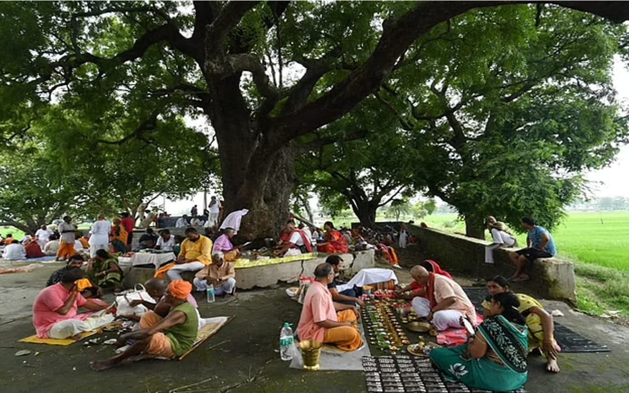 Sarva Pitru Amavasya 2022: अपने वंशजों पर कृपा करने और उनकी श्रद्धा पाने धरती पर आते हैं पितर