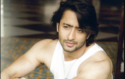 Kuch Rang Pyaar Ke Aise Bhi 3 : शाहिर शेख एक एपिसोड के लिए ले रहे इतनी फीस