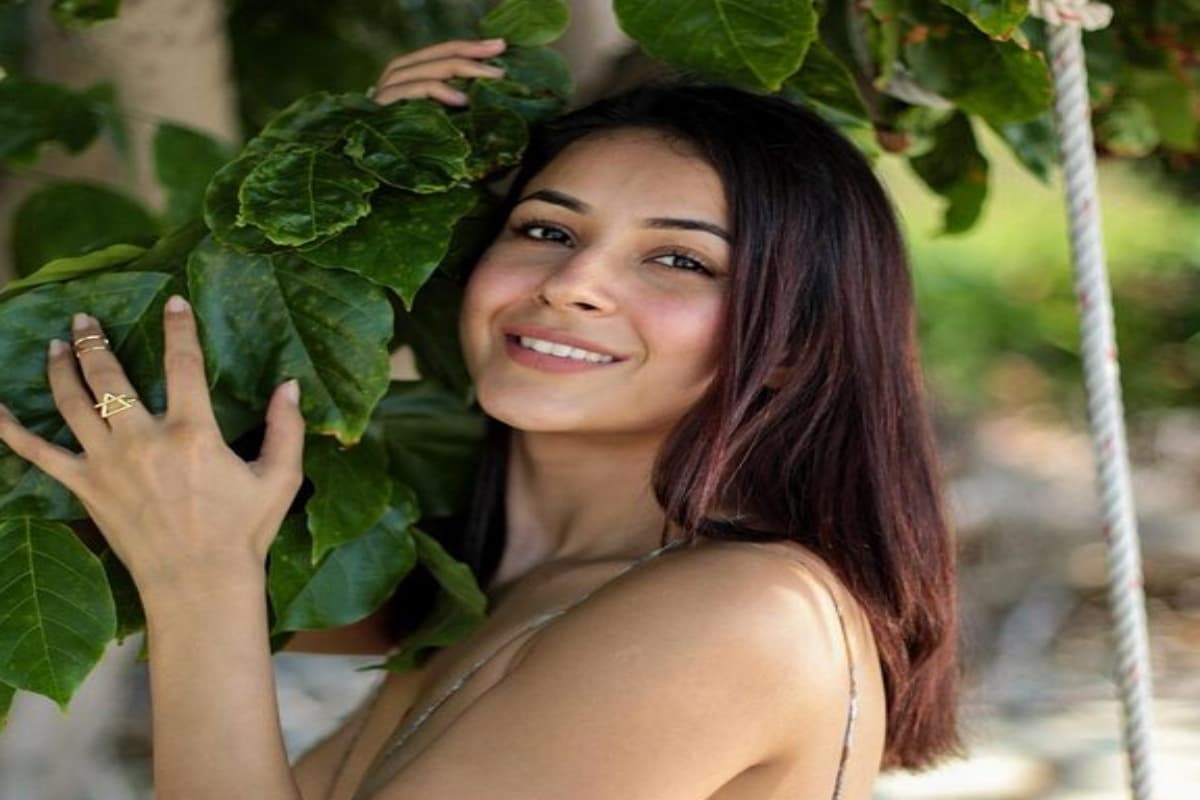 Shehnaaz Gill का रिलेशनशिप में कई बार टूटा है दिल, बोलीं- पार्टनर को जब पता चलता है कि… Shehnaaz Gill का रिलेशनशिप में कई बार टूटा है दिल, बोलीं- पार्टनर को जब पता चलता है कि…