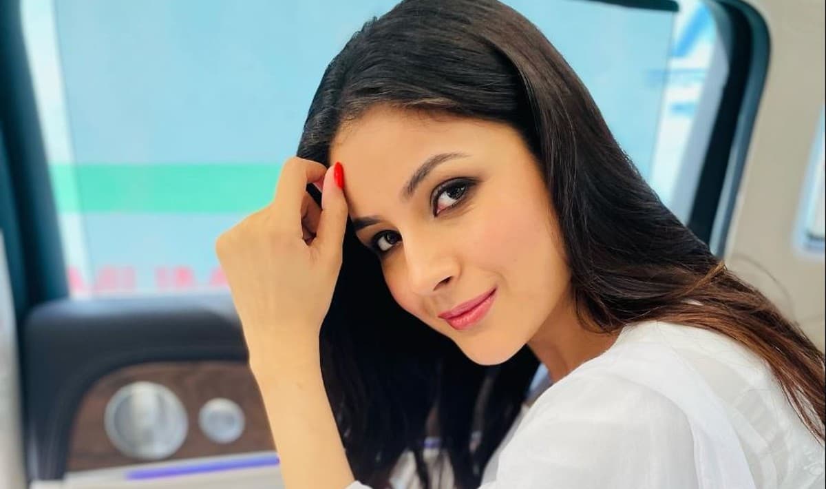 Shehnaaz Gill ने साइन की दूसरी फिल्म, अनिल कपूर और भूमि पेडनेकर संग स्क्रीन शेयर करेंगी एक्ट्रेस!