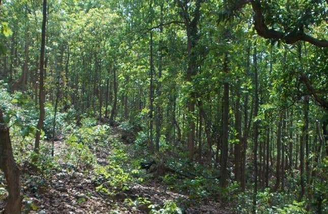 पर्यावरण का आकलन आवश्यक