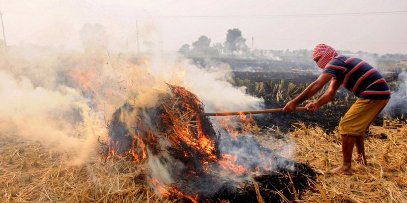यूपी में पराली जलाने पर बड़ी कार्रवाई, महराजगंज में तीन लेखपाल निलंबित, 10 किसानों को जेल और 28 पर एफआईआर दर्ज