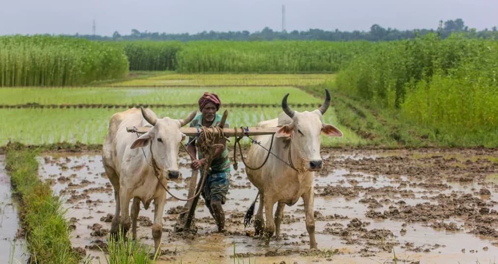 Aligarh News: स्वामित्व योजना में अलीगढ़ के 173 गांव, लिस्ट में देखें अपने गांव का नाम, मिलेगा ये फायदा