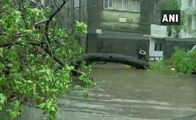 साइक्लोन ताऊ ते का कहर, महाराष्ट्र के कई हिस्सों में भारी तबाही, 6 की मौत, 9 घायल