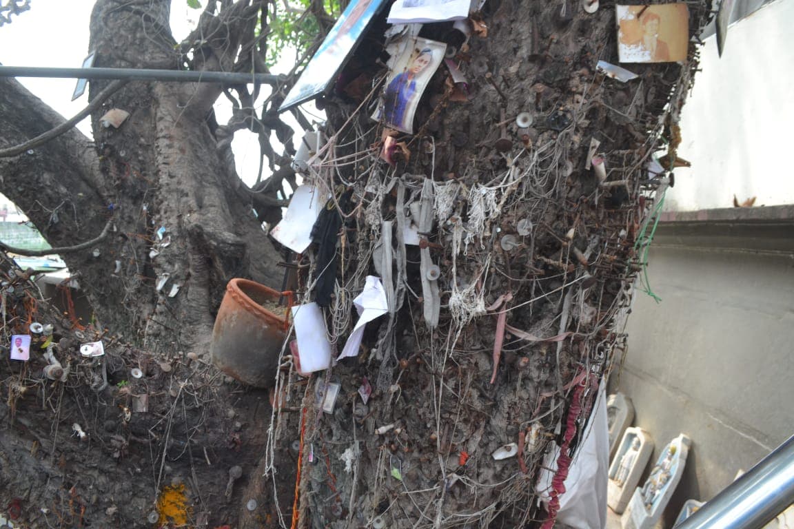 Pitru Paksha 2022: वाराणसी में पीपल के एक पेड़ पर सिक्के को कील से जड़कर भूतों को बांधने का होता है जतन