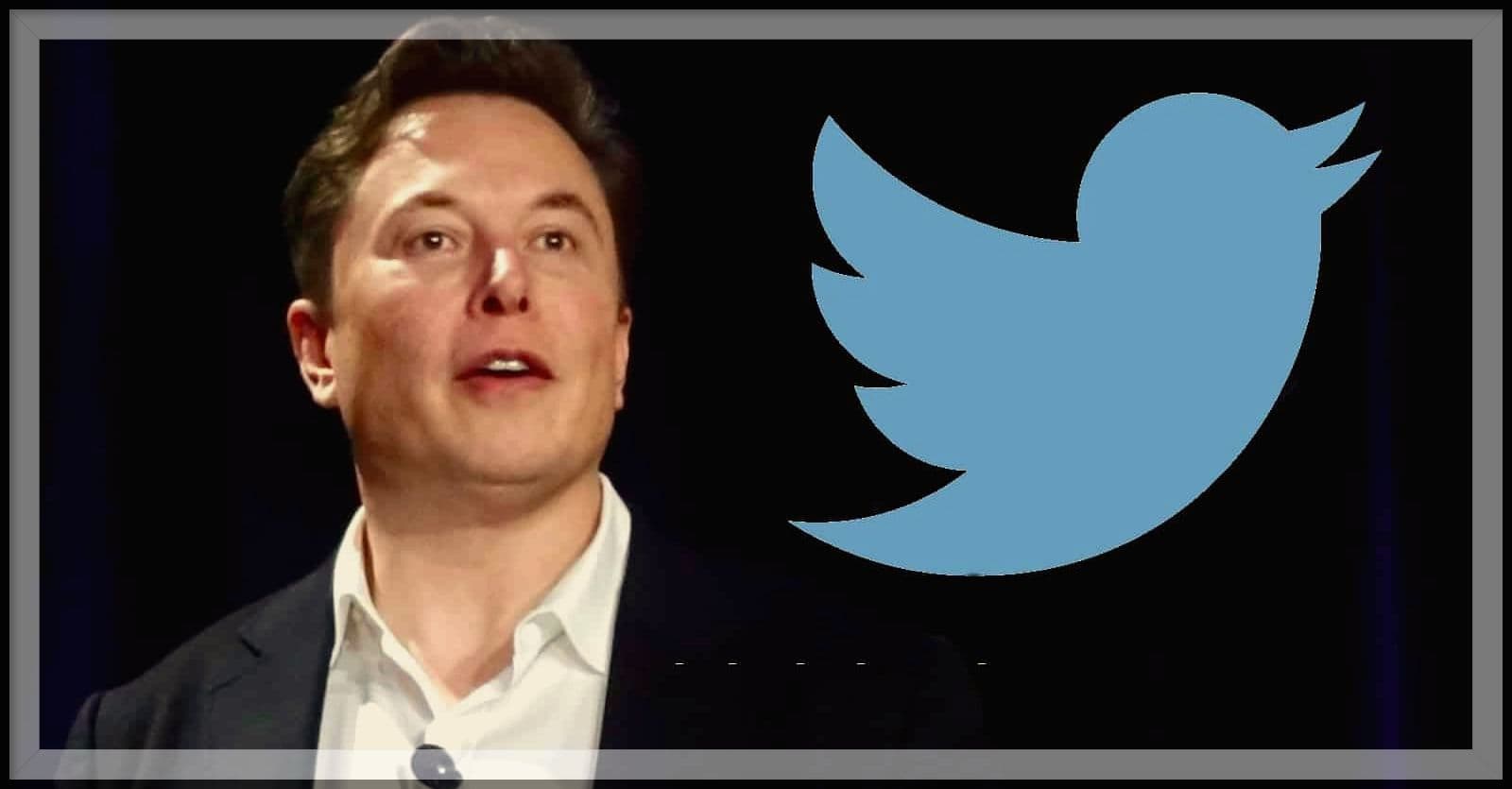 Twitter के CEO Parag Agrawal को Elon Musk ने भेजा वार्निंग टेक्स्ट मैसेज, आखिर क्या है मामला?