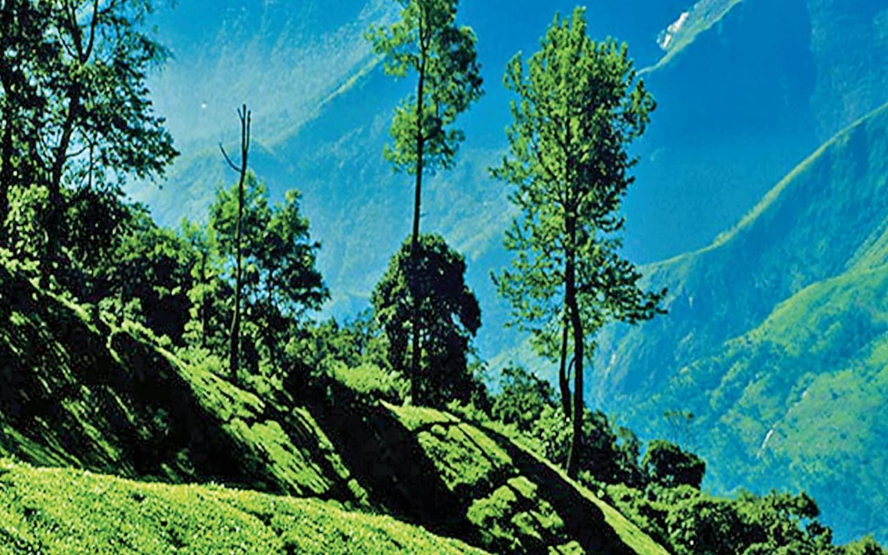 Idukki Tour: जंगलों से भरी सुंदर वादियों का लेना चाहते हैं आनंद, तो एक बार जरूर जायें इडुक्की