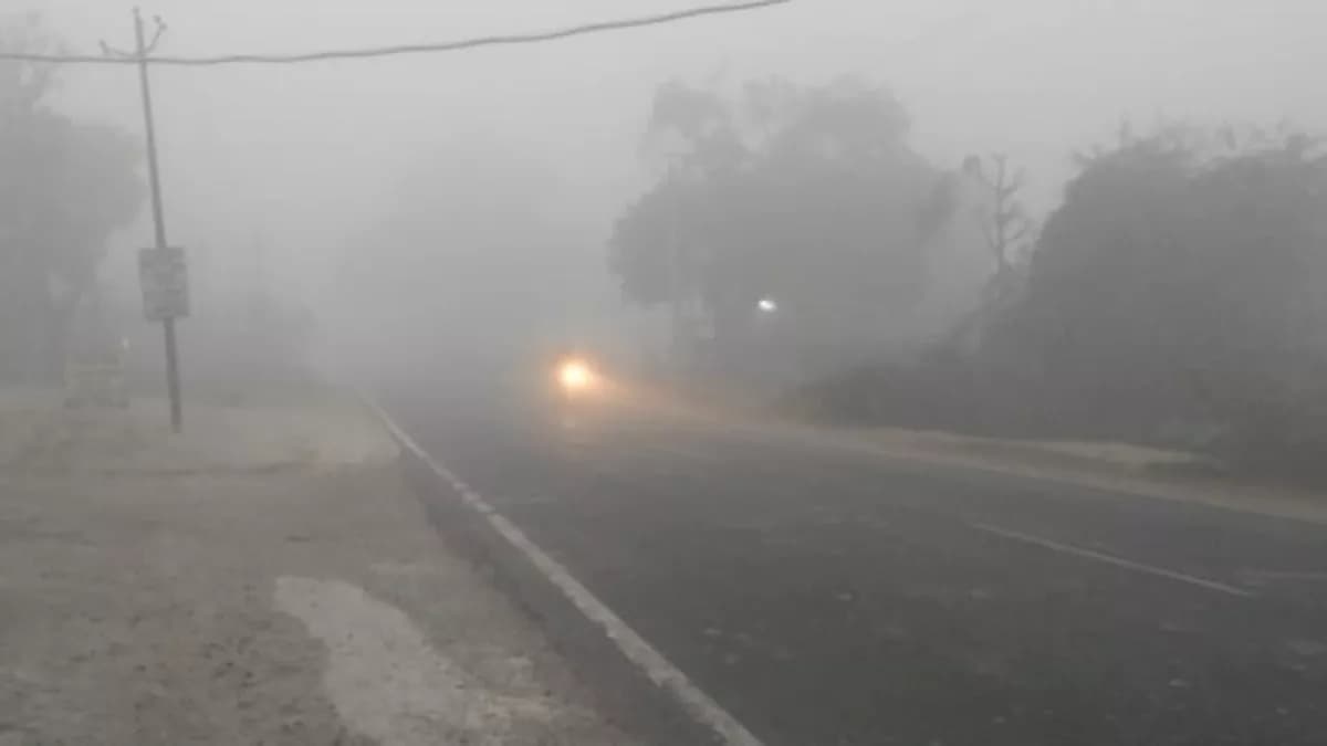 UP Weather Update: यूपी में धूप के तेवर पड़े कमजोर, सर्द होने लगी रातें, इस महीने के अंत तक जाड़ा दिखाएगा असर