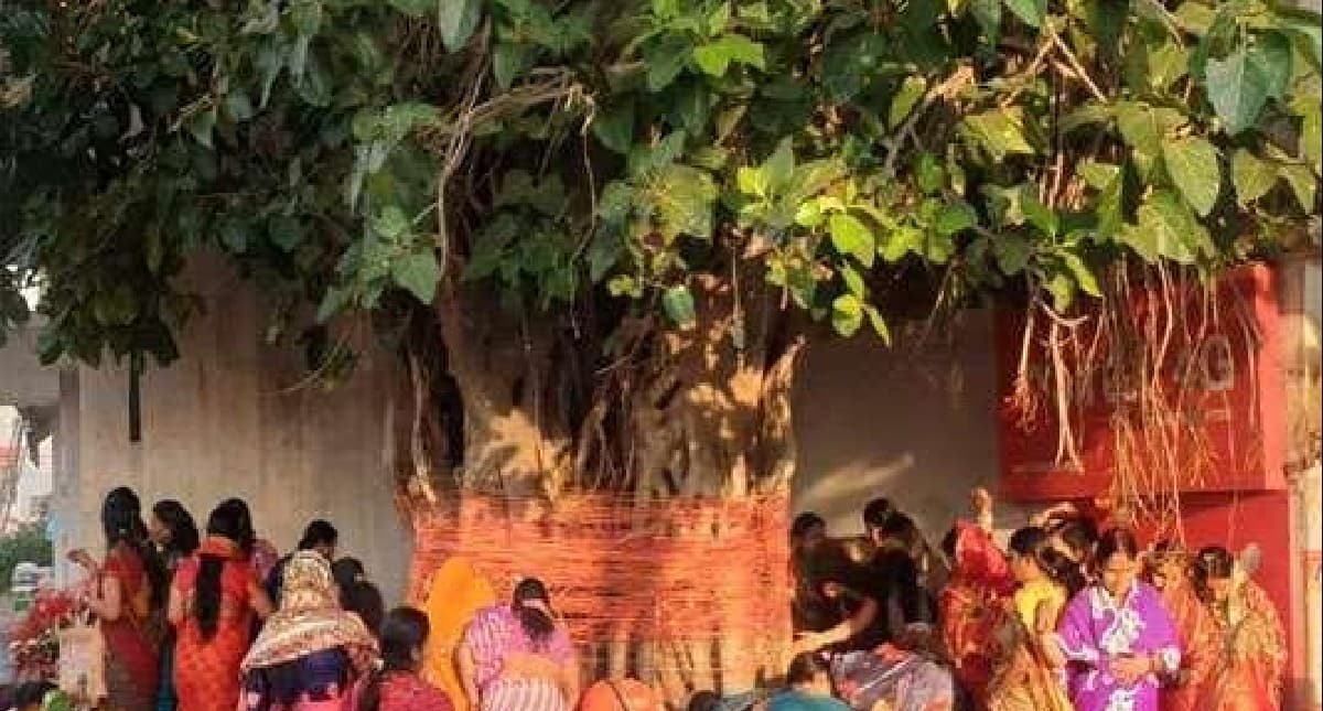 Vat Savitri Vrat 2022: जानें क्यों सुहागिन महिलाएं करती हैं वट सावित्री व्रत, पूजा के समय पढ़ें ये कथा