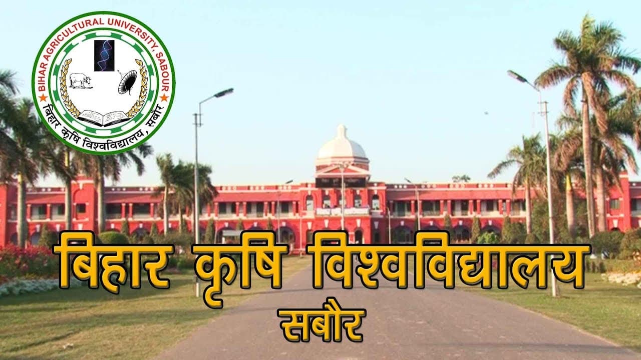 बीएयू में महिलाओं को पुआल से कलाकृति बनाने का दिया प्रशिक्षण, कुलपति बोले- यह भी फसल अवशेष प्रबंधन का हिस्सा