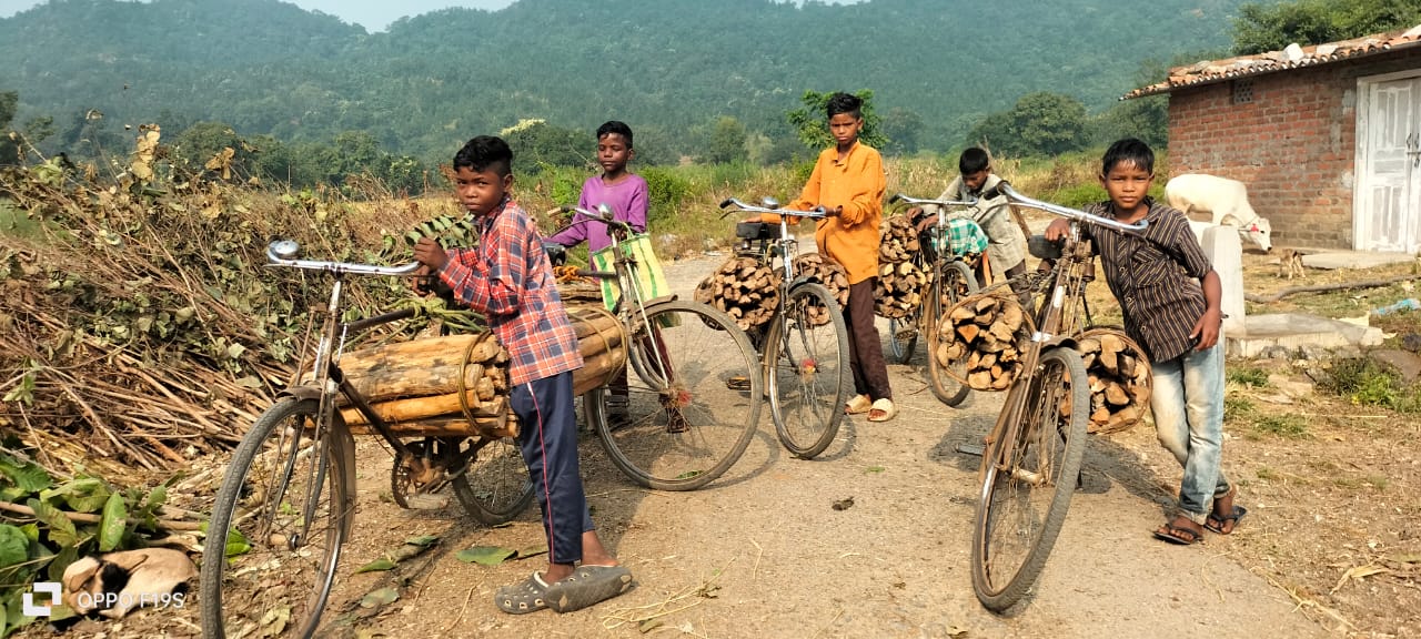 कैसे संवरेगा बच्चों का भविष्य? घर की माली हालत सुधारने के लिए जलावन की लकड़ी बेचने को हैं मजबूर