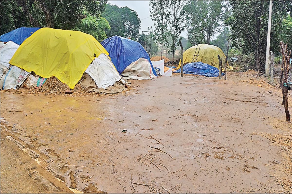 Weather Forecast: झारखंड में बर्बादी के निशान छोड़ गया तूफान मिचौंग, अब इस दिन से पड़ेगी जबरदस्त ठंड