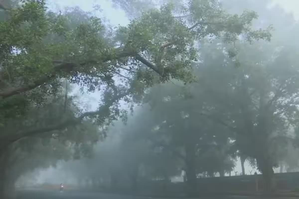 UP Weather Update: यूपी में पछुआ हवा के थपेड़ों से लुढ़केगा पारा, कोहरा दिखाएगा असर, जानें मौसम का हाल