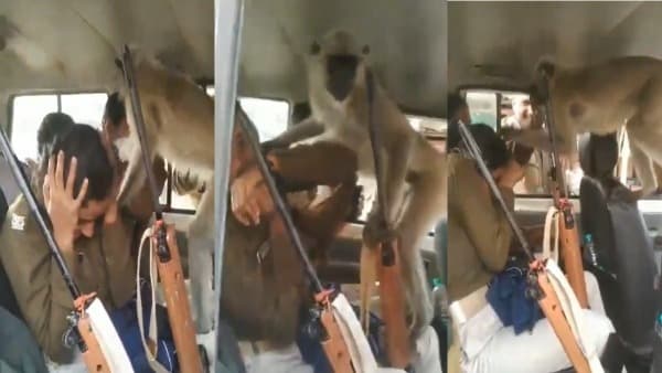Video: बंदर पर दर्ज होगी FIR? वायरल हुआ महिला पुलिसकर्मियों के साथ छेड़खानी का वीडियो
