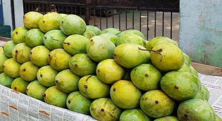 भारी बारिश से बिहार में आम की कीमत धड़ाम, किसानों को पांच अरब के नुकसान का अनुमान