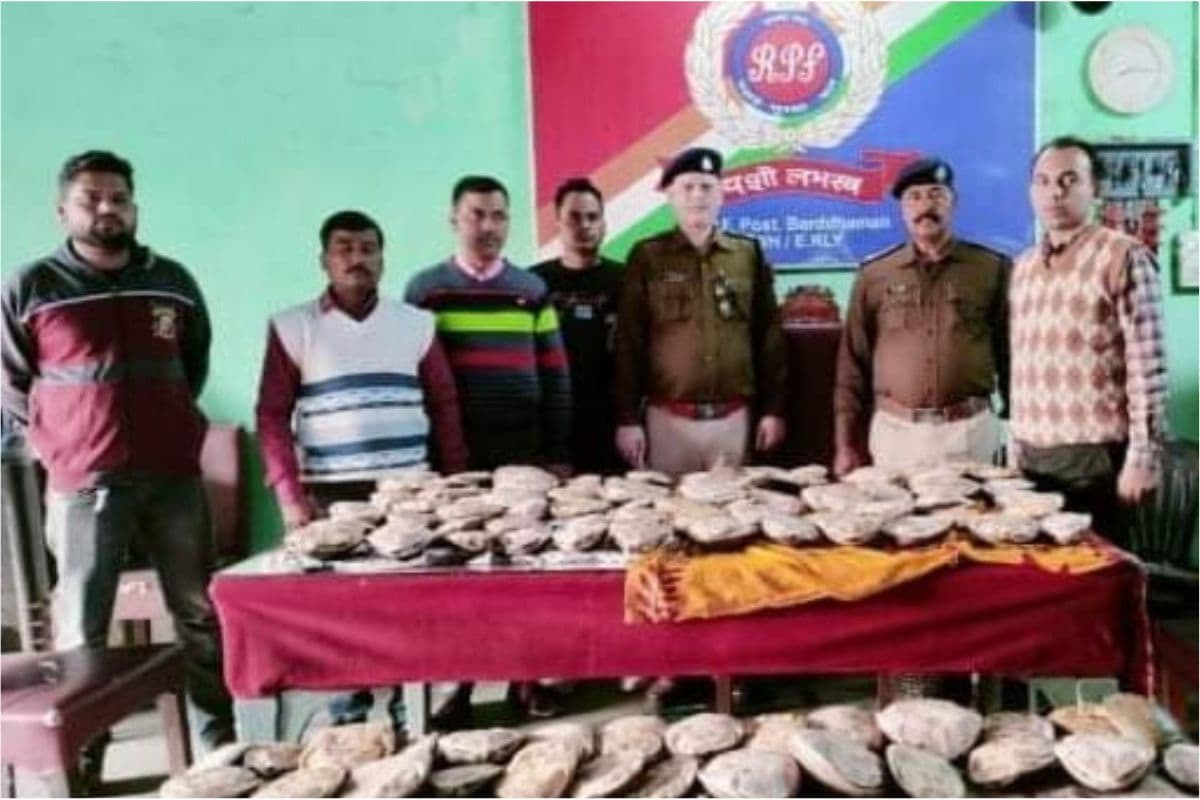 पश्चिम बंगाल : डाउन चंबल एक्सप्रेस ट्रेन से तस्करी को जा रहा 98 कछुआ बरामद,आरपीएफ ने वन विभाग को किया सुपुर्द