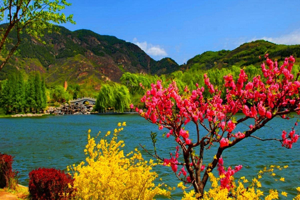 Jammu Kashmir में घूमने के लिए ये हैं टॉप 5 जगहें, कब होती है कश्मीर में बर्फबारी, यहां जाने का सबसे अच्छा समय