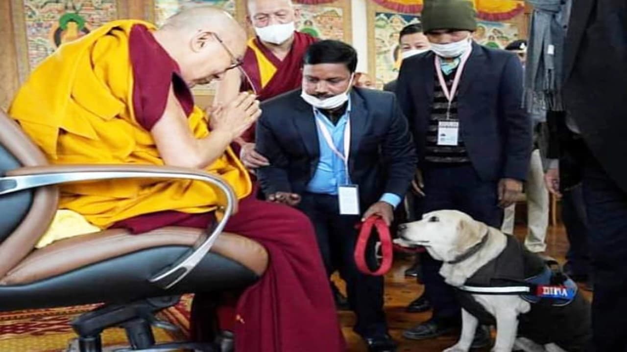 बिहार: सुरक्षा में मुस्तैद स्निफर डॉग ने दलाई लामा से लिया आशीर्वाद, मुलाकात कर किया सैल्यूट