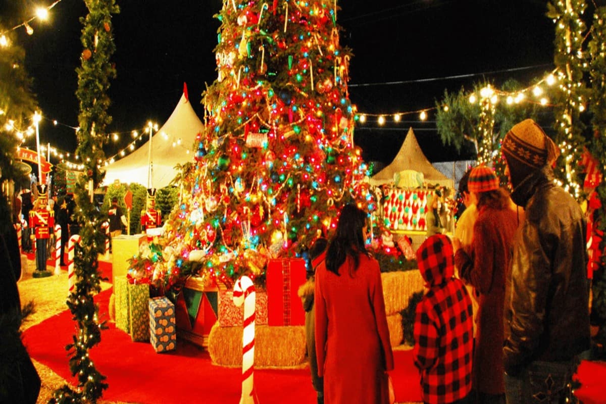 Christmas 2023: क्रिसमस के लिए बेस्ट है मनाली, यहां आपको मिलेगा पार्टी का डबल डोज, जल्द बना लें घूमने का प्लान