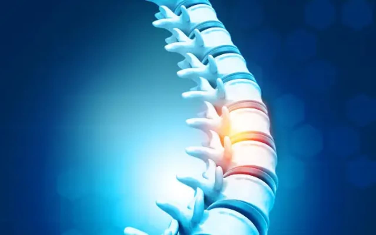 Health Tips: हड्डियों को बनाना है मजबूत, तो अभी से शुरू कर दें ये 6 हेल्दी ड्रिंक्स को पीना