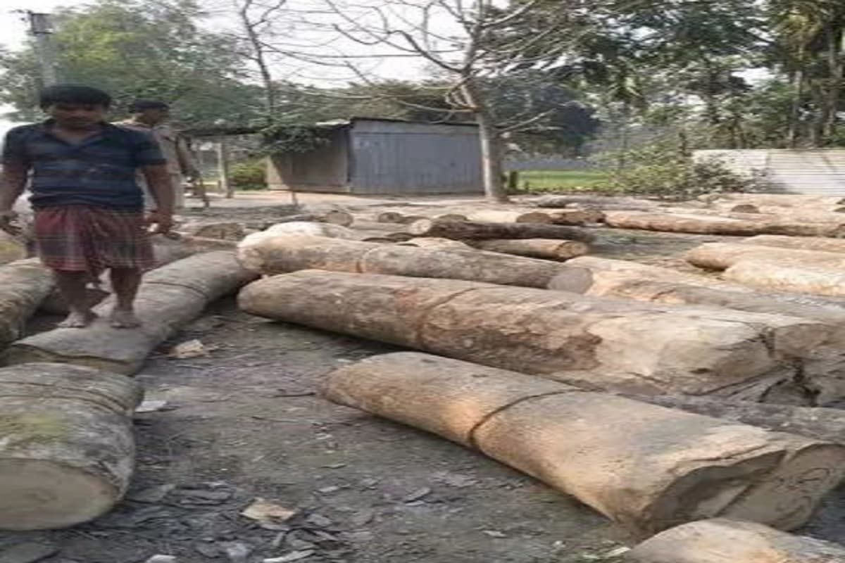 पलामू में रेलवे की जमीन पर चल रहे लकड़ी टाल 31 दिसंबर तक होंगे खाली, जानें पूरा मामला