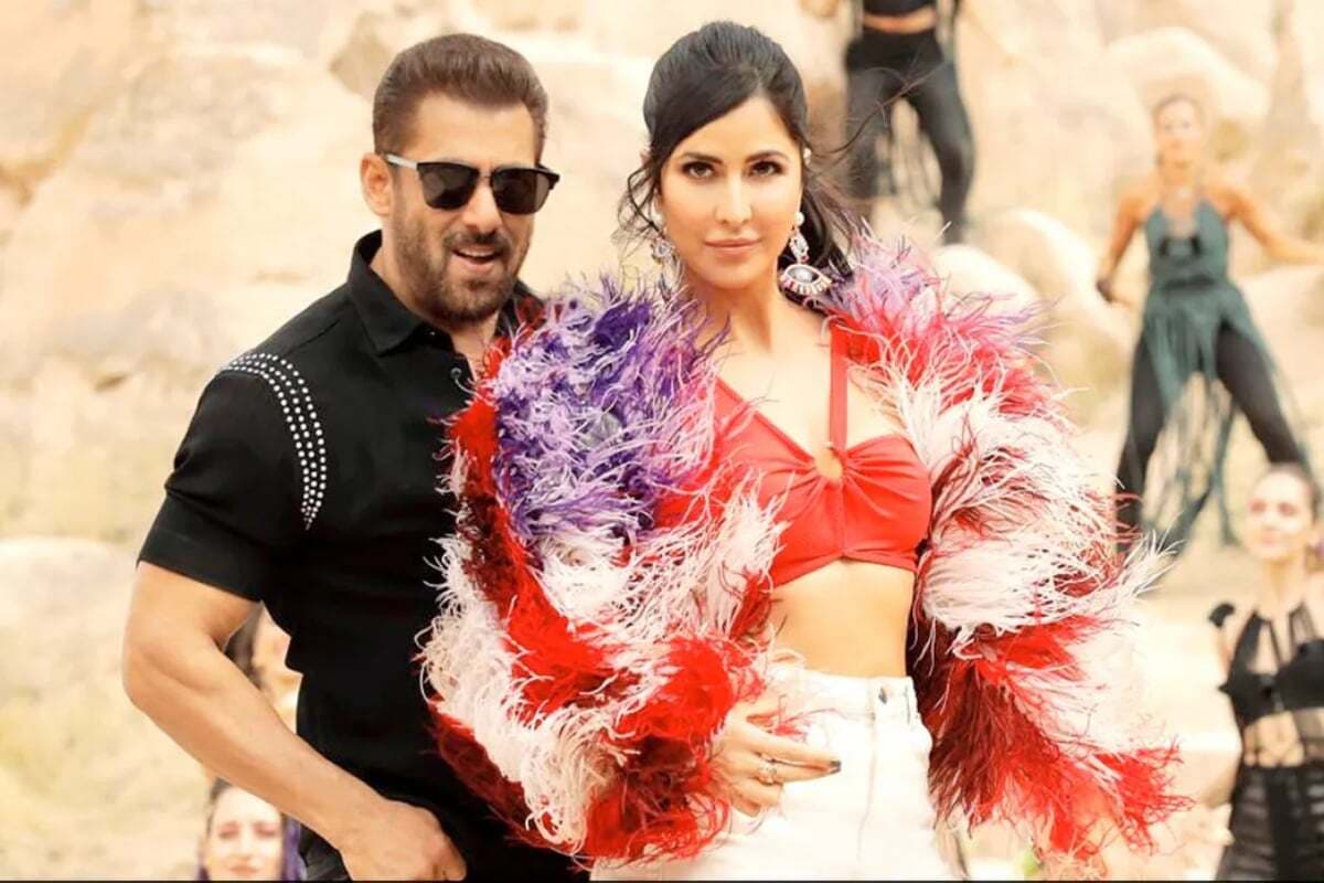 Tiger 3 Box Office Collection: सलमान खान की टाइगर 3 FLOP हुई या HIT,जानें एनिमल के सामने क्या हुआ फिल्म का हाल