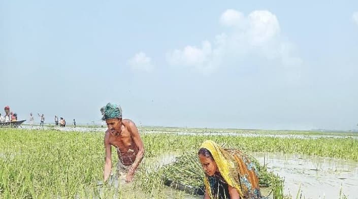 Bihar : गंडक नदी का जलस्तर बढ़ा, बगहा में धंसने लगा कटावरोधी कार्य