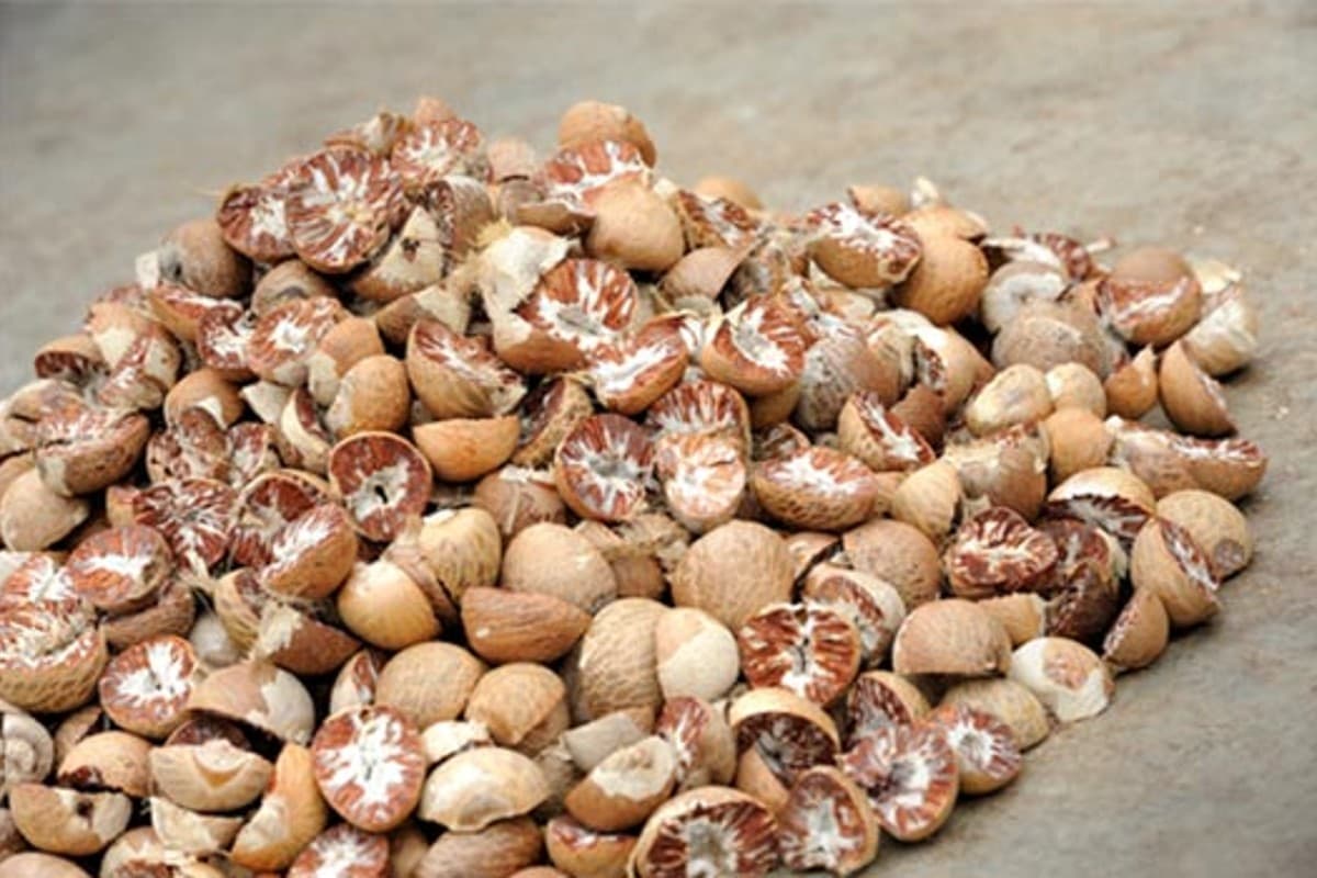 Betel Nut Benefits: सुपारी खाने से होने वाले ये 5 फायदे जानकर चौंक जाएंगे आप