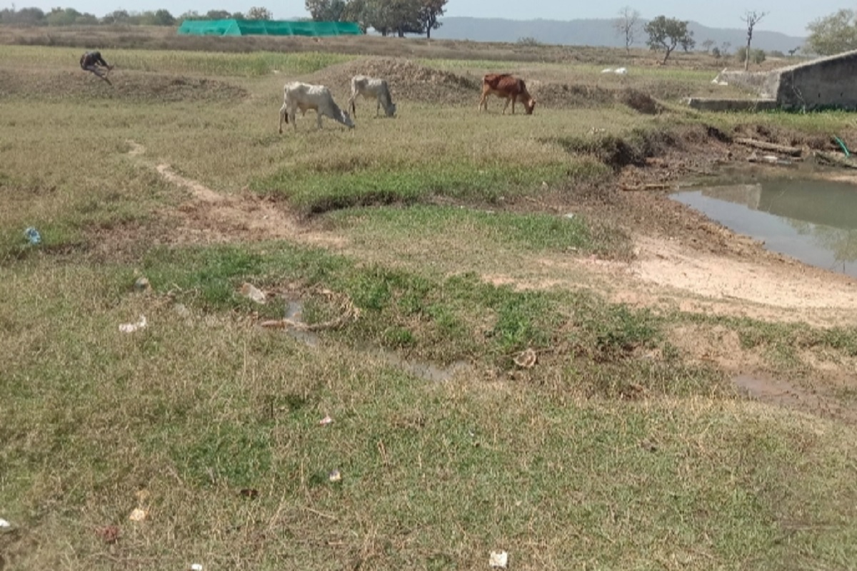 लोहरदगा के किस्को प्रखंड में पेयजल संकट से जूझ रहे लोग, सारी योजनाएं ध्वस्त