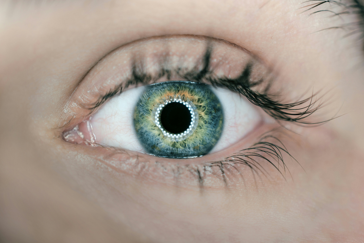Eye Care Tips: आंखों की देखभाल: स्वस्थ आंखों के लिए सरल उपाय