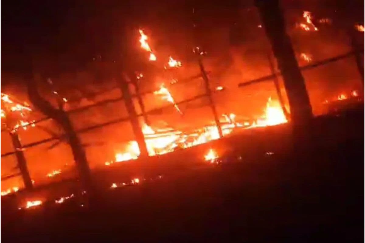 पश्चिम बंगाल : बागदा में पोल्ट्री फार्म में लगी भीषण आग, सैकड़ों मुर्गे-मुर्गियां जलकर मरीं