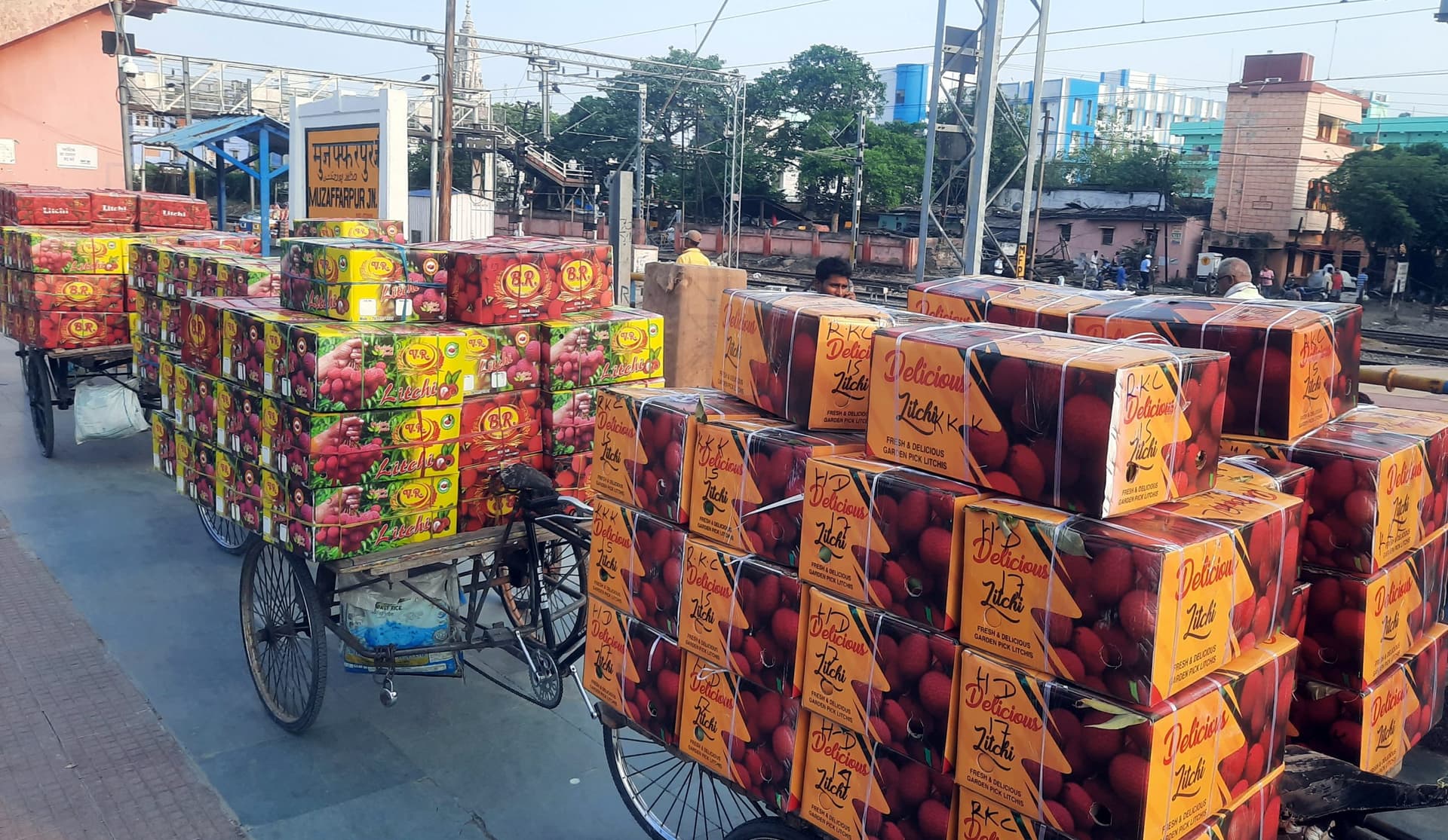 मुंबई के लोग खाएंगे मुजफ्फरपुर की लीची, पवन एक्सप्रेस से रवाना हुई 25 टन लीची