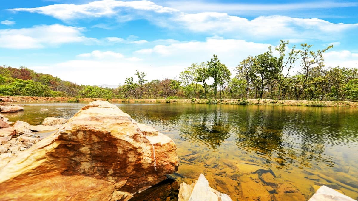 Travel : यदि आपको Nature से प्यार है, तो बिहार Eco Circuit में आपका स्वागत है