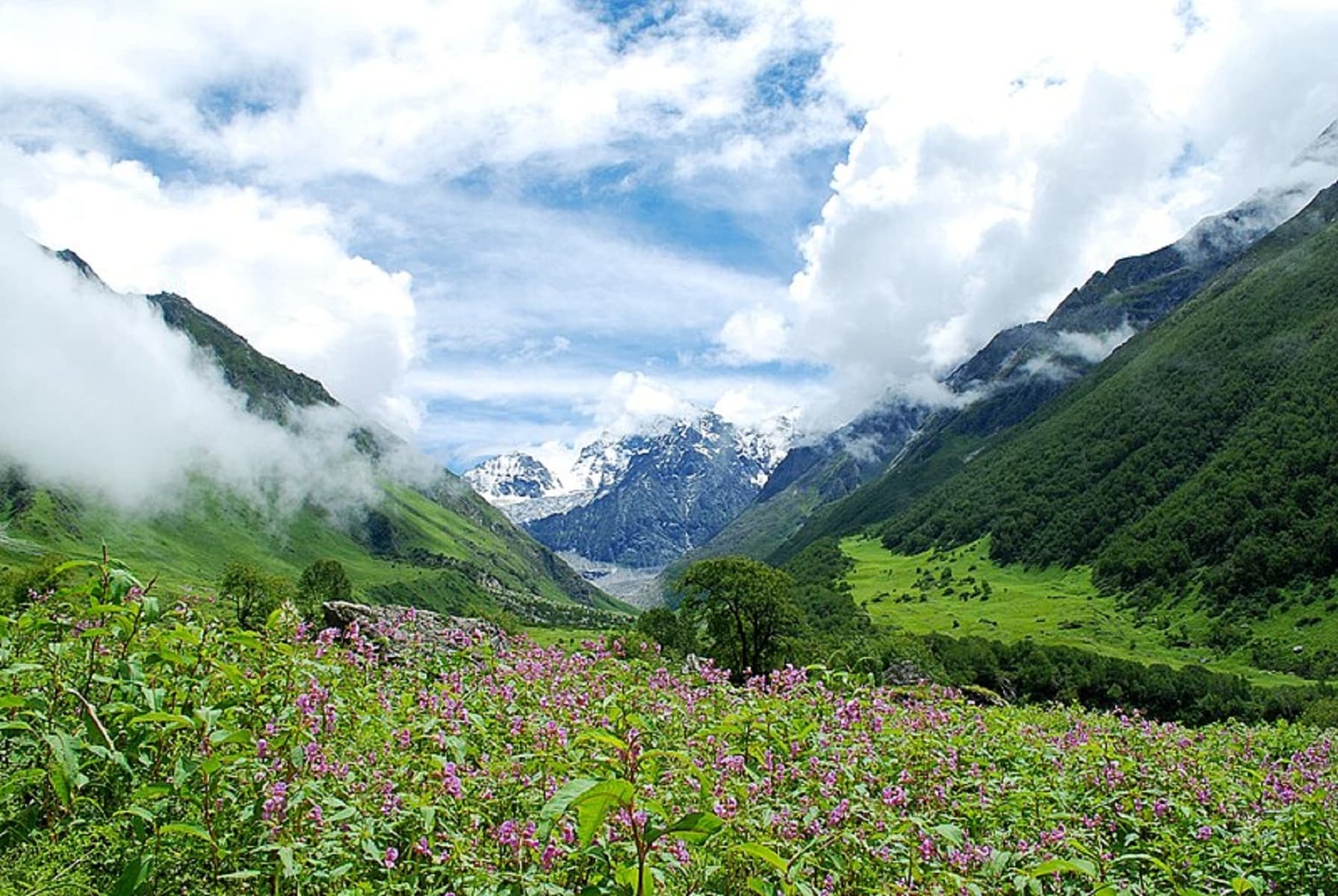 Valley of Flowers 2025 : क्या है फूलों की घाटी में खास, जो ट्रेकर्स को लिए 1 जून से खुल रही है