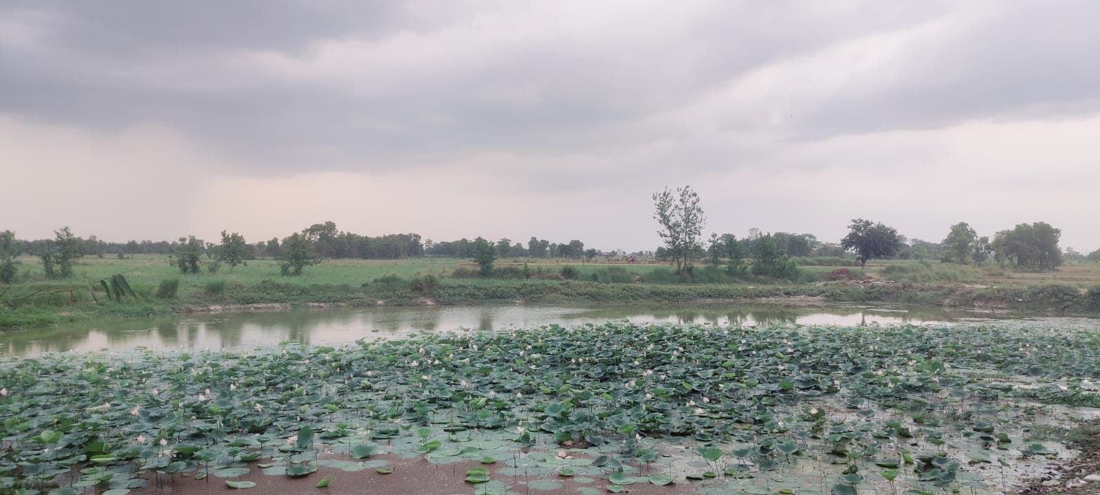 Cyclone Remal : नरकटियागंज में बदला मौसम, आसमान में छाये बादल, चलने लगीं तेज हवाएं