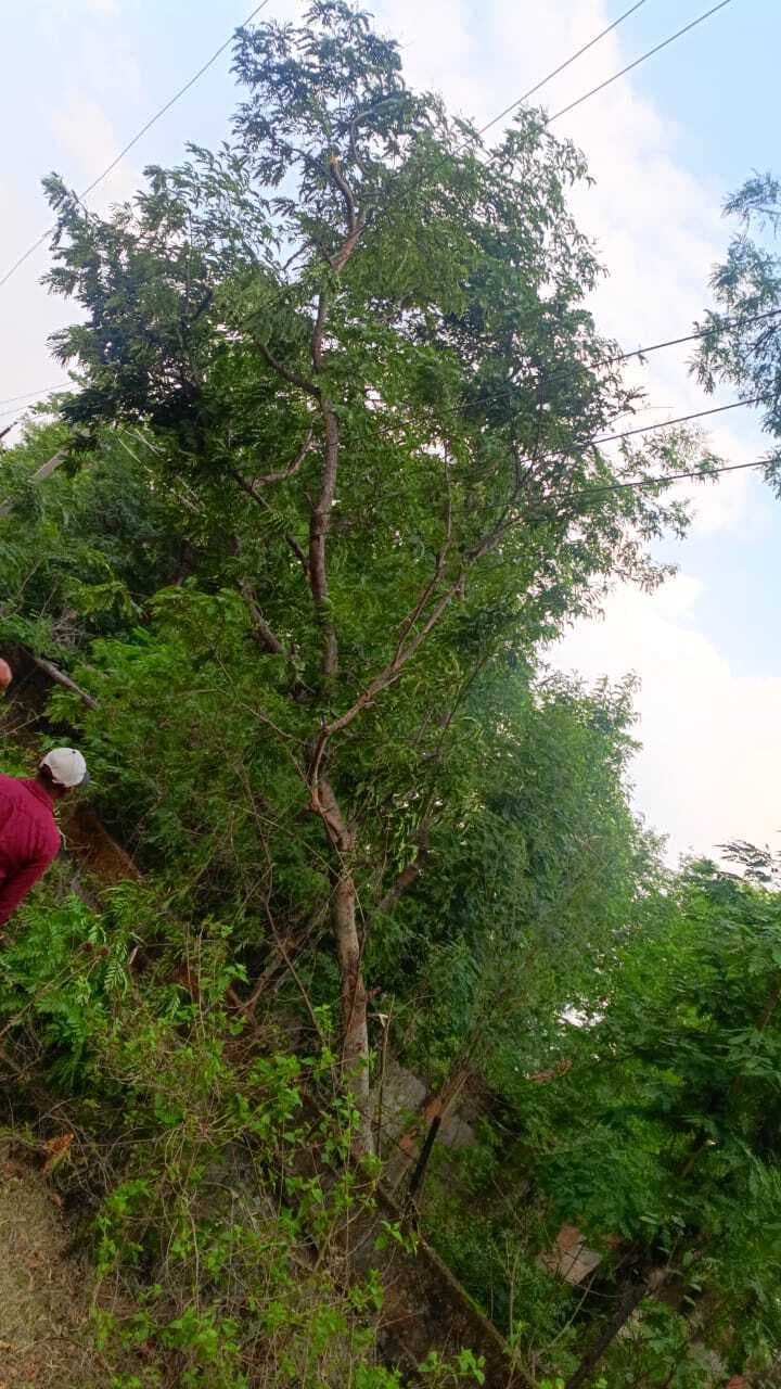 बेमौसम बारिश का कहर, ठनका से दो लोगों की मौत, सड़कों पर जलजमाव, आठ घंटे तक गुल रही बिजली