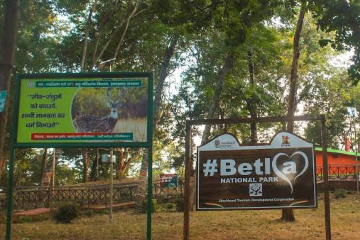 Jharkhand Tourism: वन्यजीवों को देखना पसंद करते हैं, तो चले आइए बेतला नेशनल पार्क