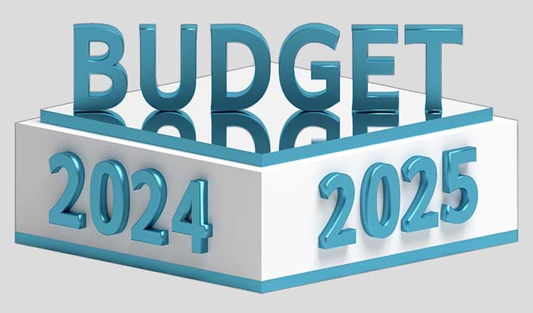 Budget: केंद्रीय बजट 2024 से पहले जान ले यह बातें